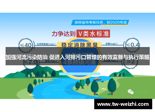 加强河流污染防治 促进入河排污口管理的有效监督与执行策略