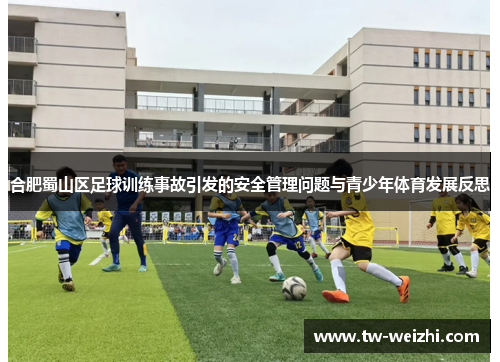 合肥蜀山区足球训练事故引发的安全管理问题与青少年体育发展反思