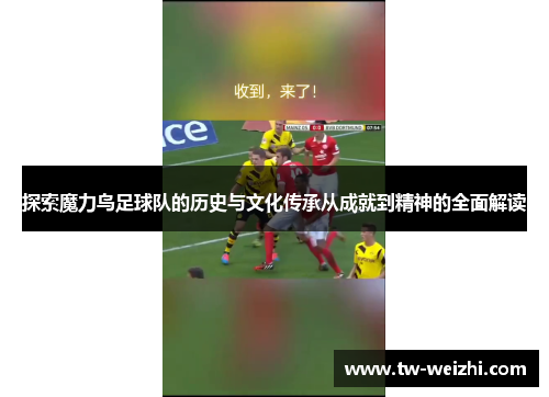 探索魔力鸟足球队的历史与文化传承从成就到精神的全面解读