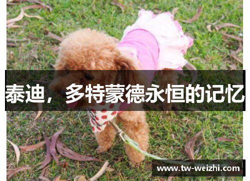 泰迪，多特蒙德永恒的记忆