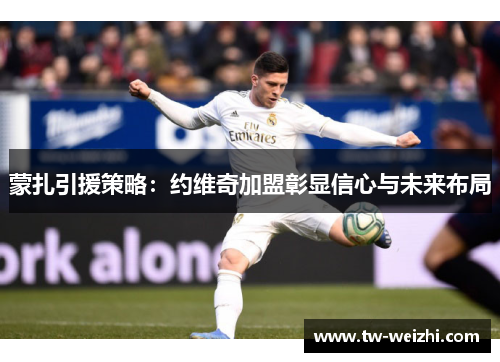 蒙扎引援策略:约维奇加盟彰显信心与未来布局